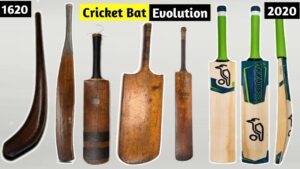 Read more about the article The Evolution of Cricket Bats: From Willow to Carbon Fiber